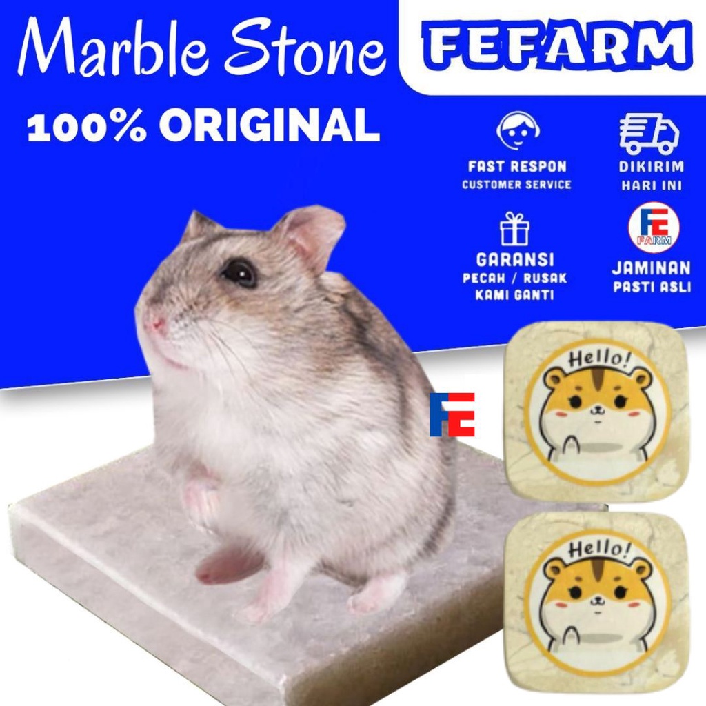 Hamster Cooling Pad Marble Tempat Tidur Dingin Kotak Dwarf &amp; Syrian Landak Mini FEFARM