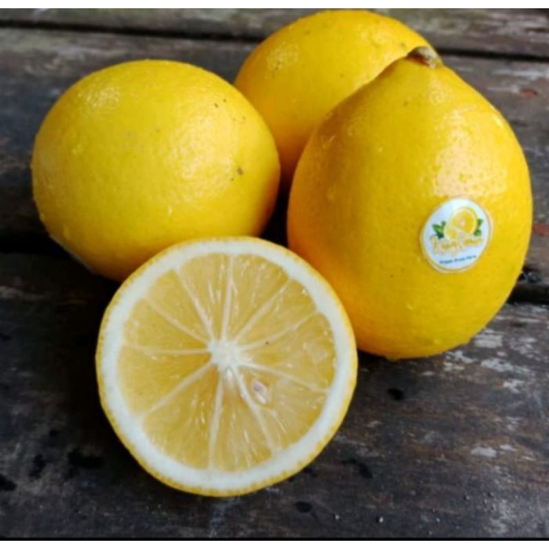 

JERUK LEMON CALIFORNIA 1 KG ISI 7-8 BUAH