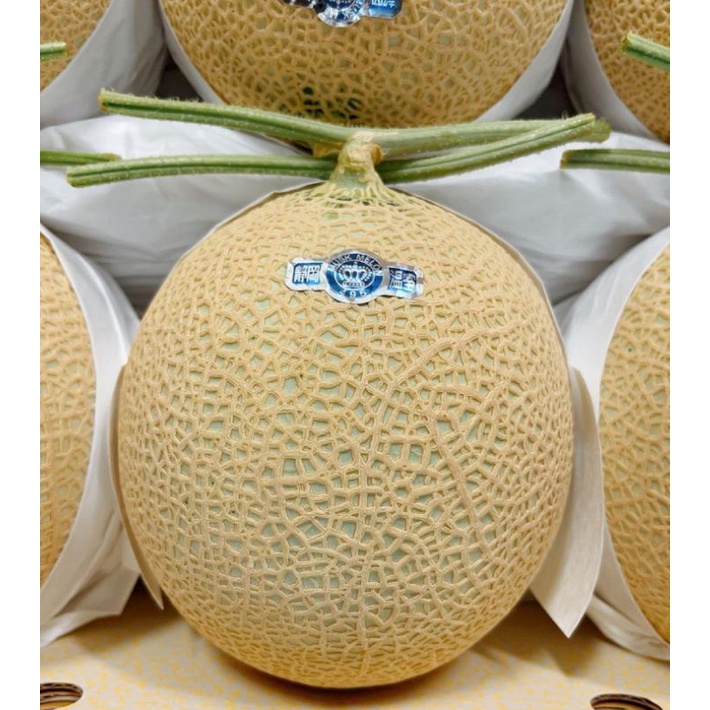 

crown Musk melon Jepang buah unik