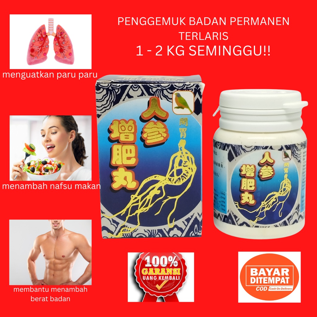 PENGGEMUK BADAN PERMANEN AMPUH GINSENG BIRU KEMASAN KERAMIK