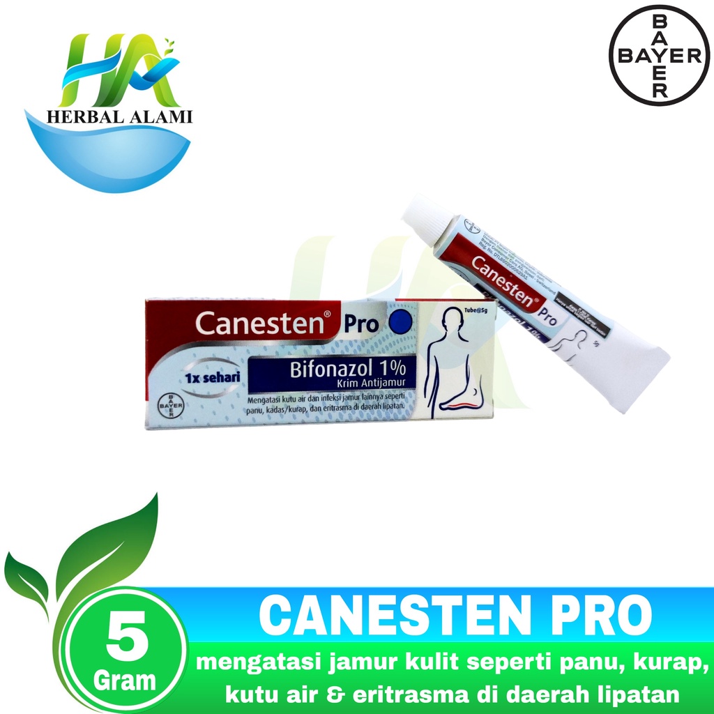 CANESTEN PRO CREAM - Mengatasi Penyakit Kulit