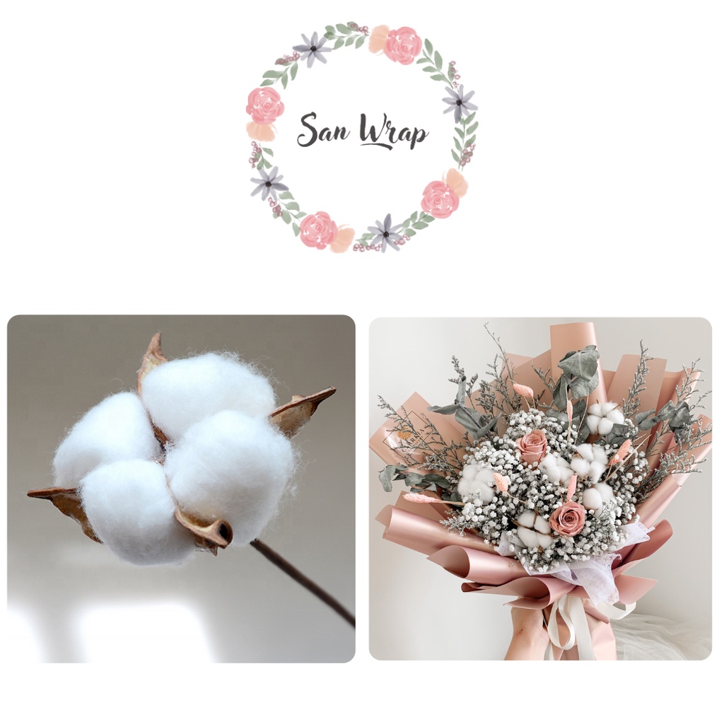 (10 Tangkai) Dried Cotton Bunga Kapas Kering Flower Florist Supply Dekorasi Pernikahan Buket Diameter 4,5-6 CM