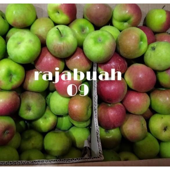 

Termurah dan terbaik Buah Apel Malang / Apple Rome Beuty 1 Kg Fresh 