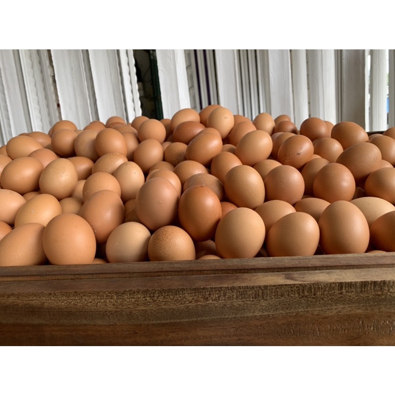 

Telur Ayam 1 kg Fresh