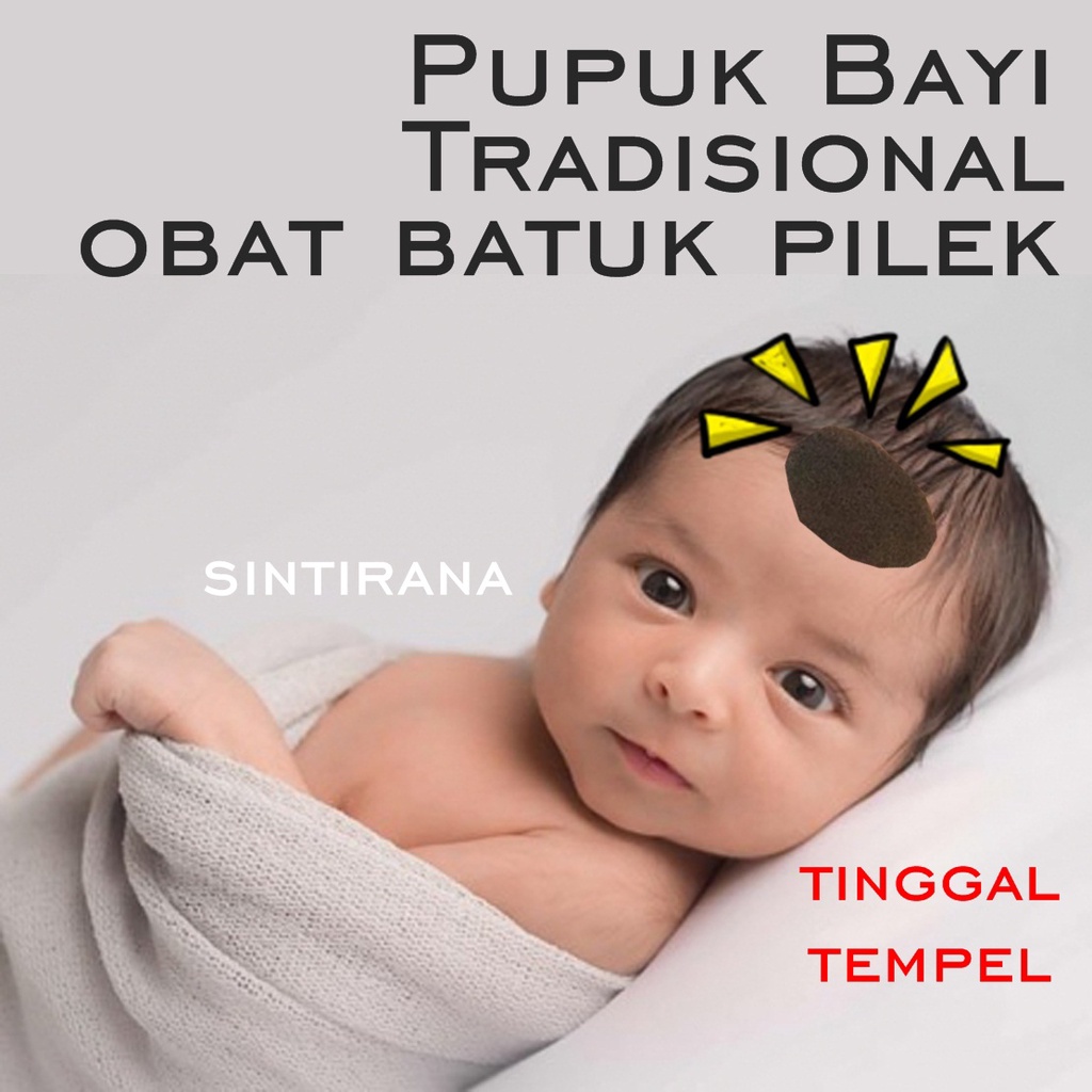 Pupuk Bayi Tradisional untuk UBUN UBUN Pupuk Dlingo Bengle