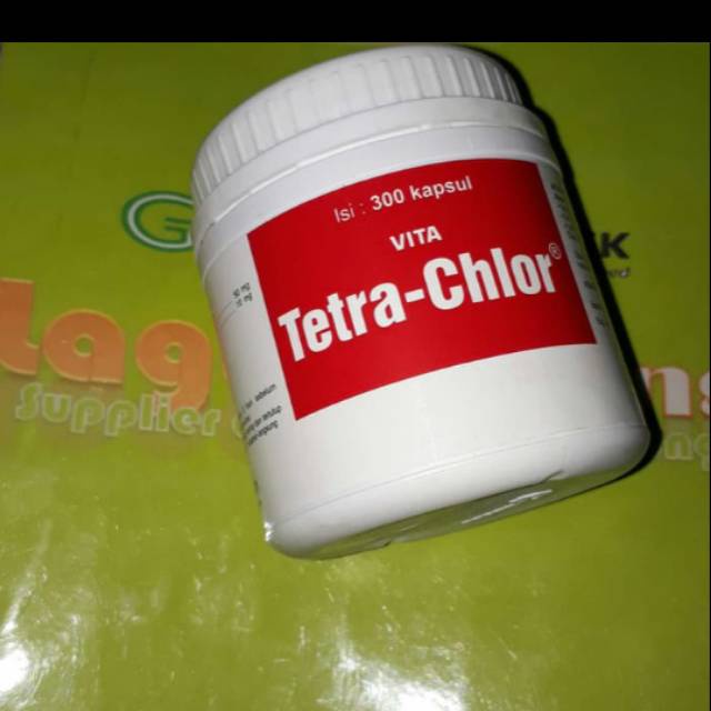 tetra chlor obat vita tetra-chlor 300kap tetrachlor ayam tarung burung