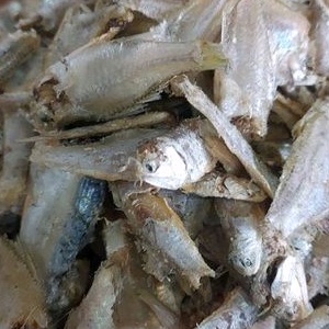 

ikan campur/sampah segar @500gr