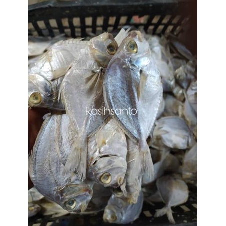 

Baru Ikan asin petek besar 1kg 09