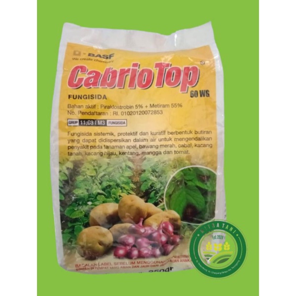 CABRIO TOP 60 WG 250 GR