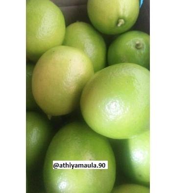 

[Hot ⚡ale]Jeruk Lemon California Organik 1 kg ( 4-8biji)