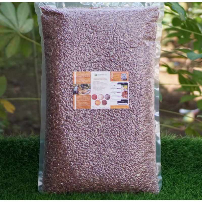 

Beras Merah Pecah Kulit FRESH langsung dari Petani (5kg vacuum)