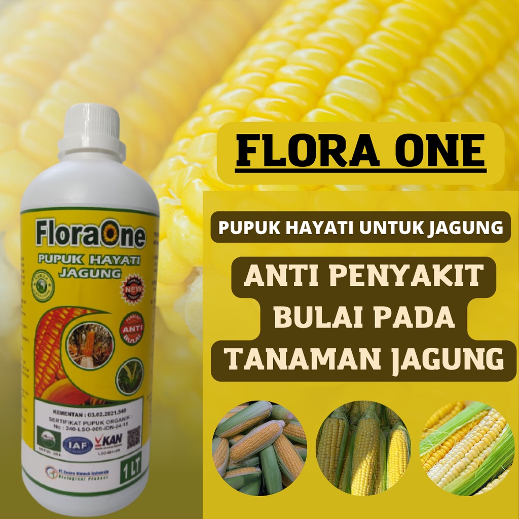 Fungisida floraone pupuk hayati untuk tanaman jagung, pupuk jagung organik, pupuk cair untuk tanaman jagung anti bulai