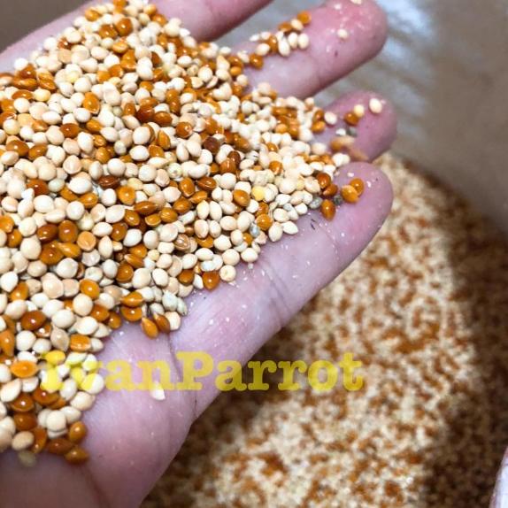 MILET MERAH CAMPUR MILET PUTIH 1KG