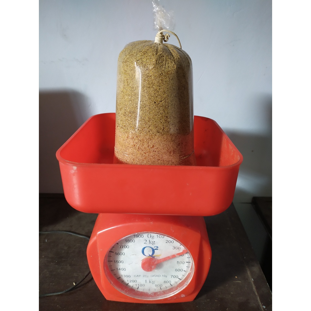 Kotoran ulat hongkong bendingan ampuh umpan galatama buat tambahan umpangalatama makin gacor