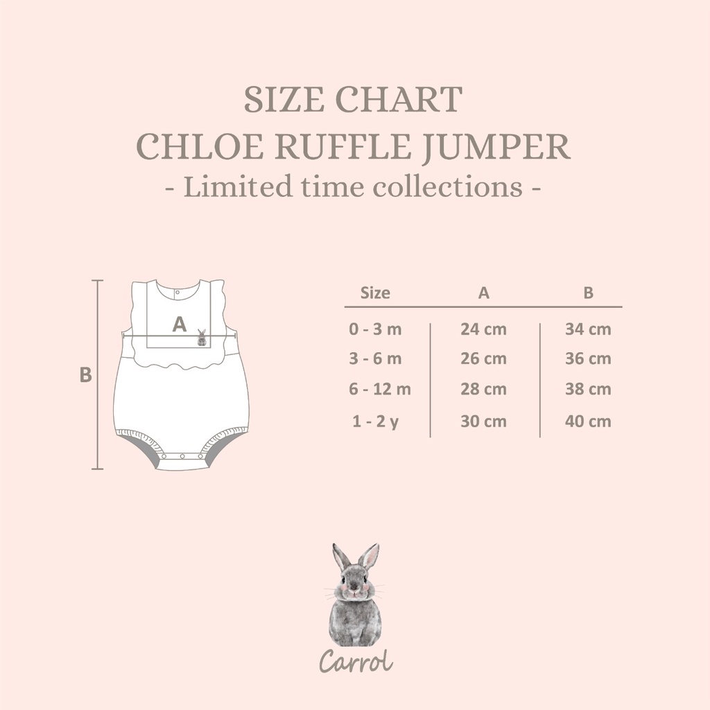 CARROL BABY CHLOE RUFFLE JUMPER JUMPER SEGITIGA JUMPER RUFFLE ANAK FASHION ANAK PEREMPUAN 0 - 2 TAHUN