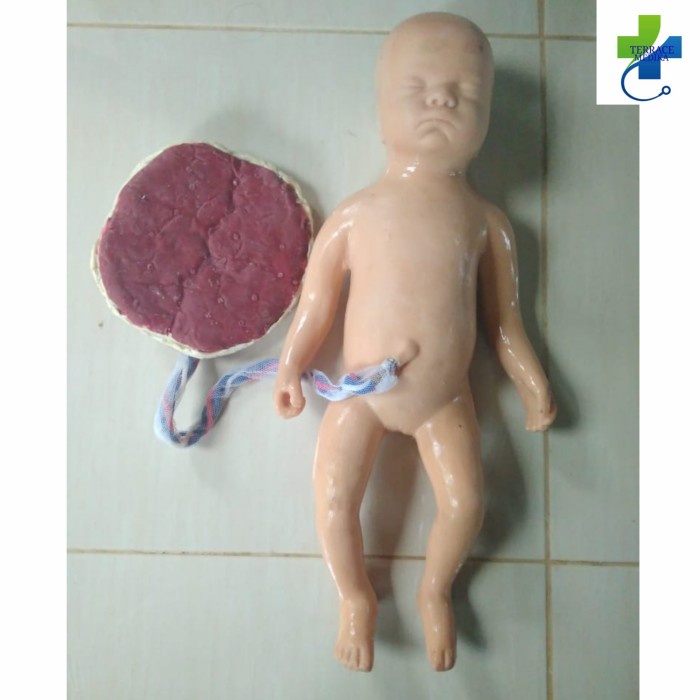 PHANTOM MANIKIN / MANEKIN / Bayi plasenta silicone