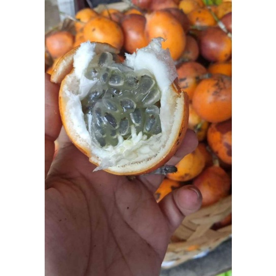 

markisa bedugul/konyal manis 1 kg