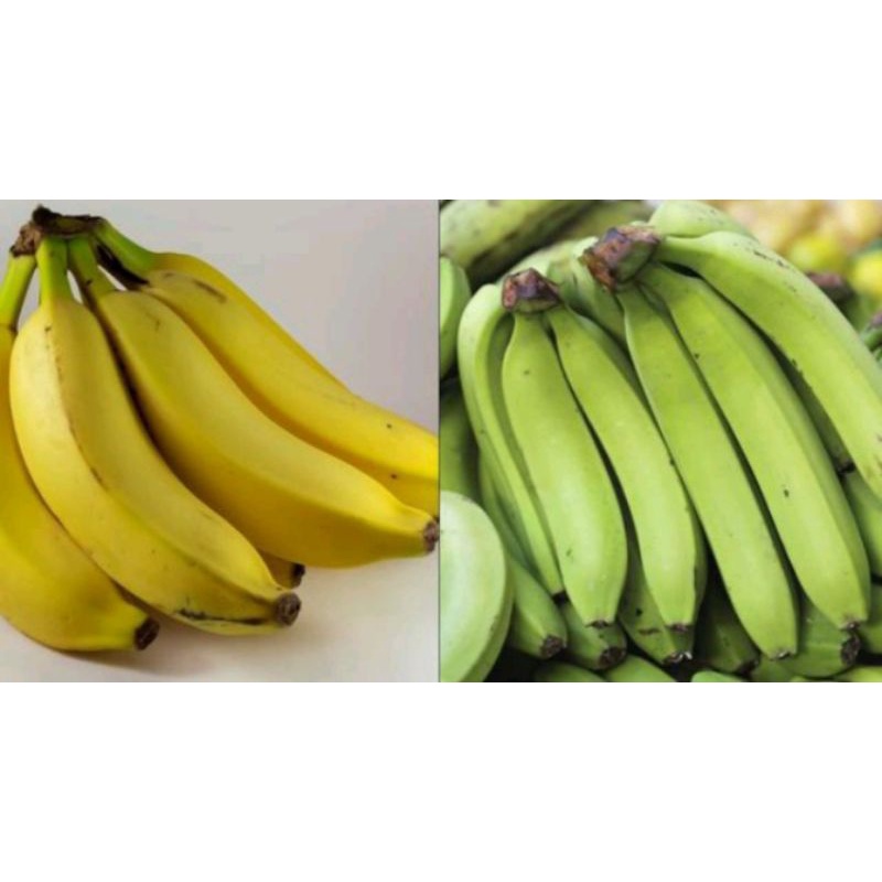 

Pisang buah
