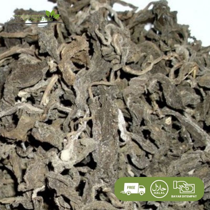 

daun dewa kering berkualitas 500 gram dan 1 kg