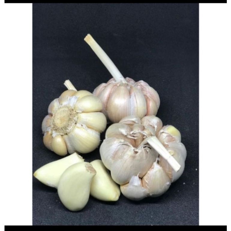 

bawang putih 1kg
