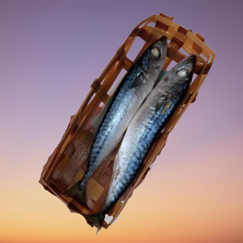 

( Per 1 Besek / pack ) ~ Gereh /ikan Gereh besek / pindang