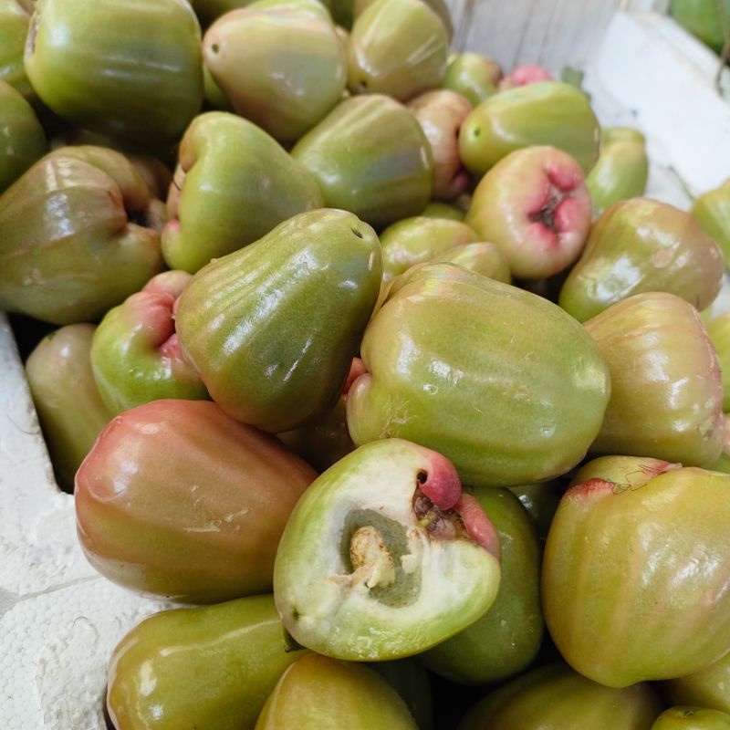 

BUAH JAMBU HIJAU DEMAK 1KG / JAMBU AIR DEMAK MANIS BERAIR