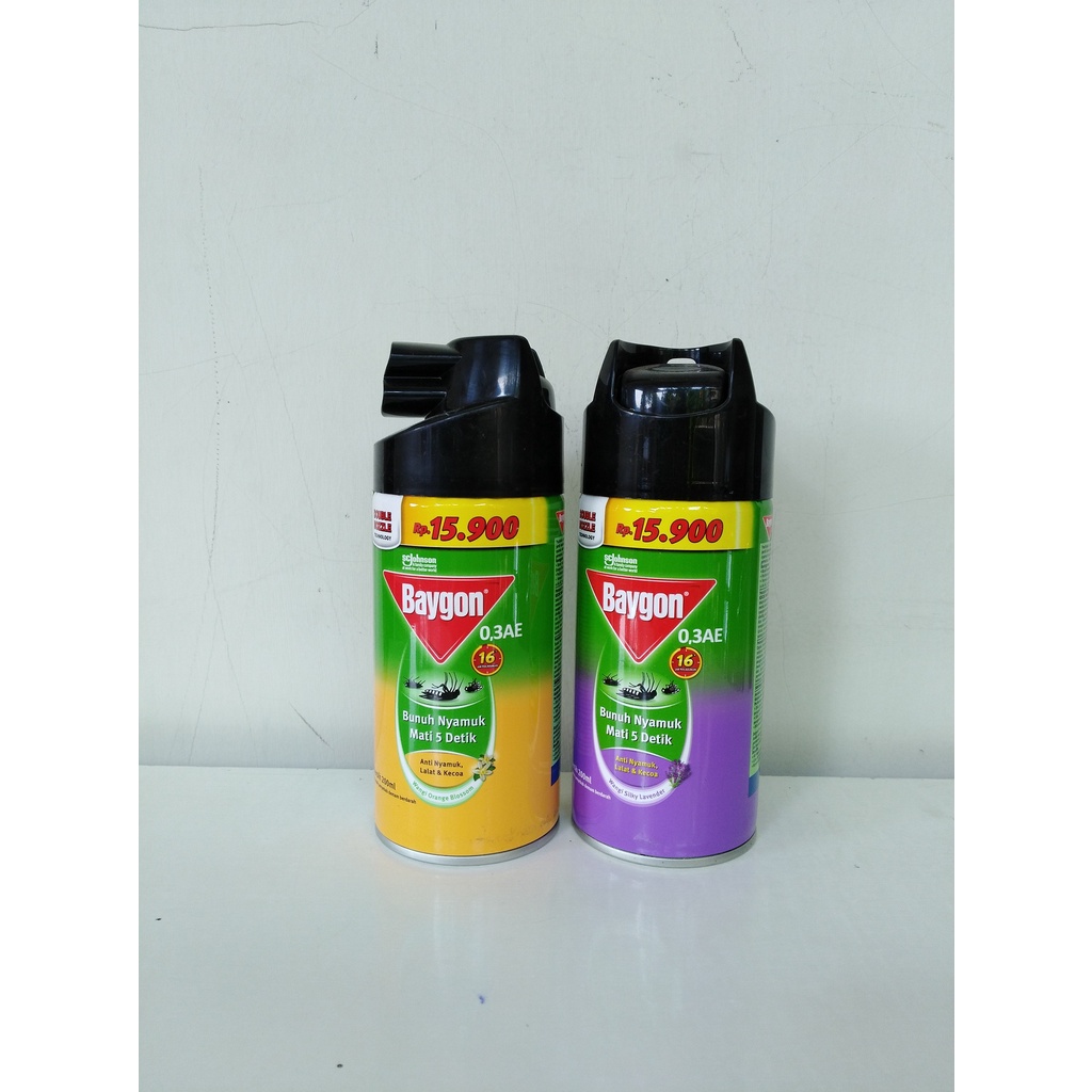 Baygon Aerosol 200 Ml