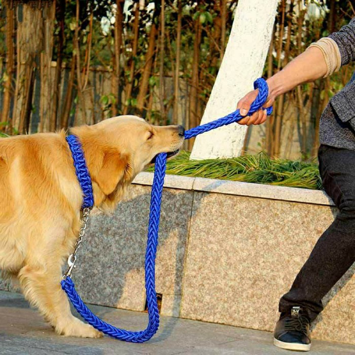 Tali Tuntun Tali Tuntun Anjing Ukuran Besar