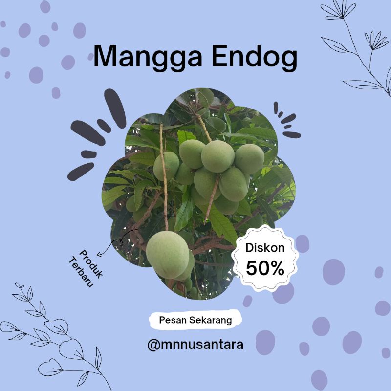 

Mangga Endog 1 kg