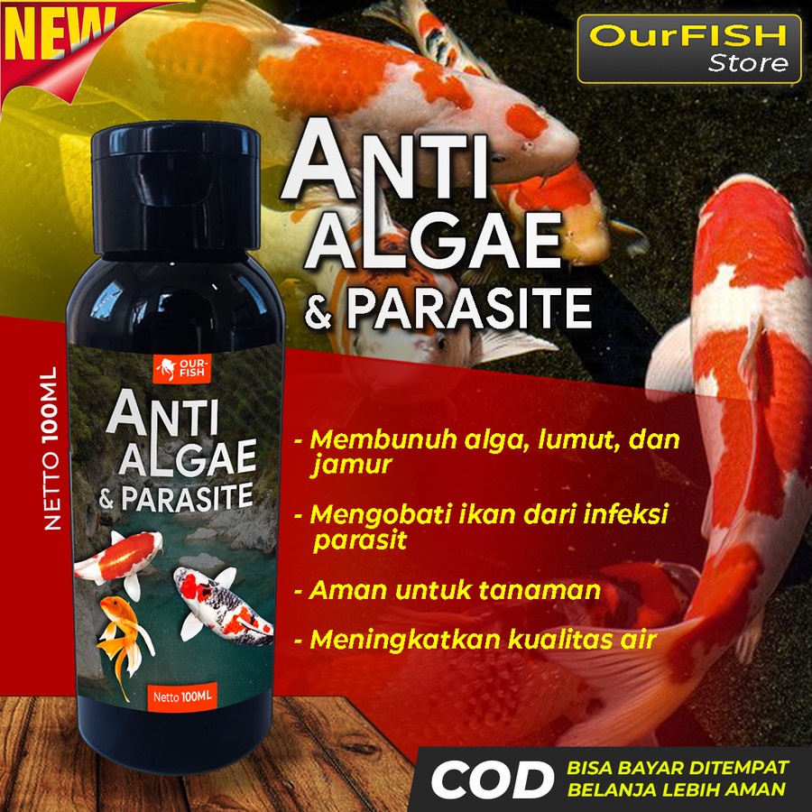 Anti Algae dan Parasit Obat Lumut Alga Remover Kolam dan Aquarium 100 ML Obat Anti Lumut Alga Parasit Pembasmi Penghambat Lumut anti lumut