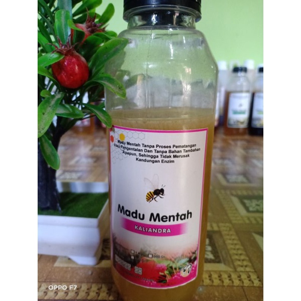 

MADU KALIANDRA 500 GR ASLI RAW HONEY BISA UNTUK PROMIL,menambah NAFSU MAKAN DAN IMUN BOOSTER