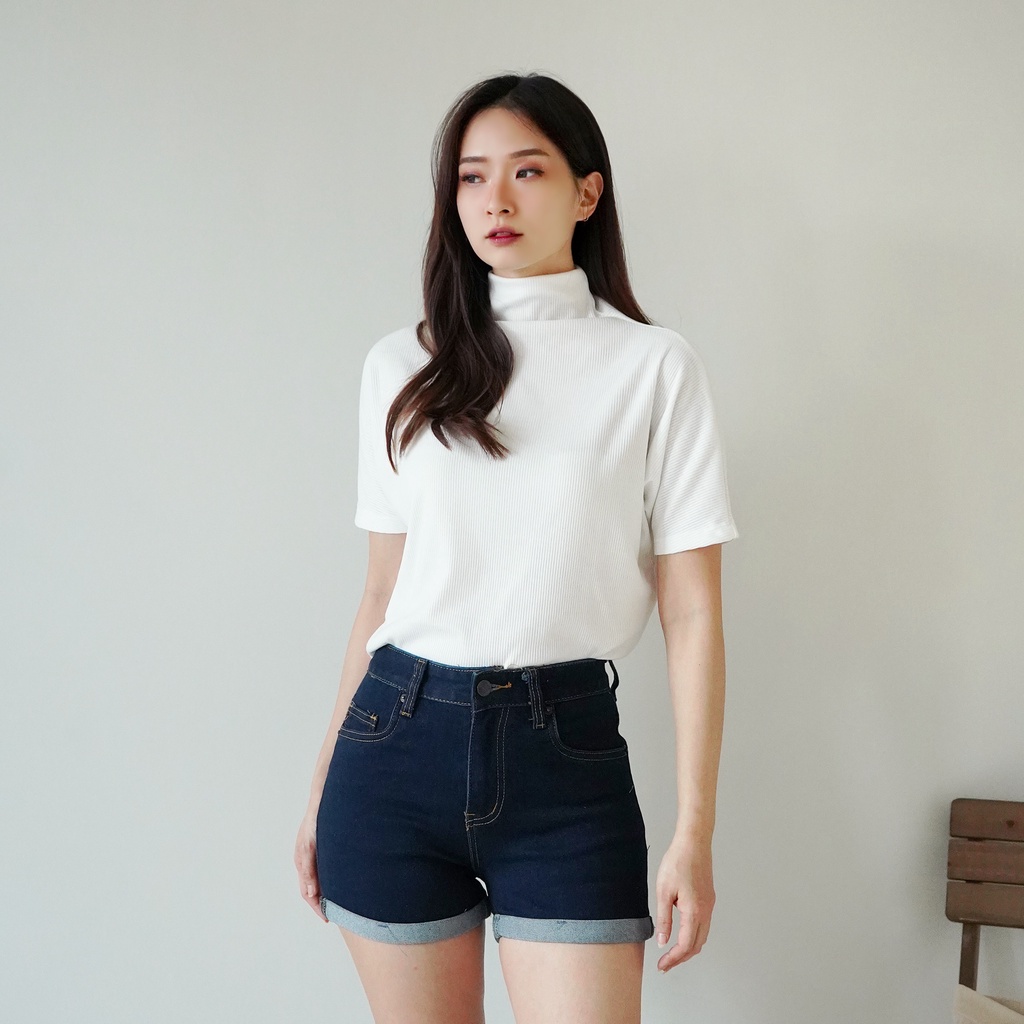 Korean Basic Crop Top Baju Atasan Wanita Turtle Neck Basic Top 100