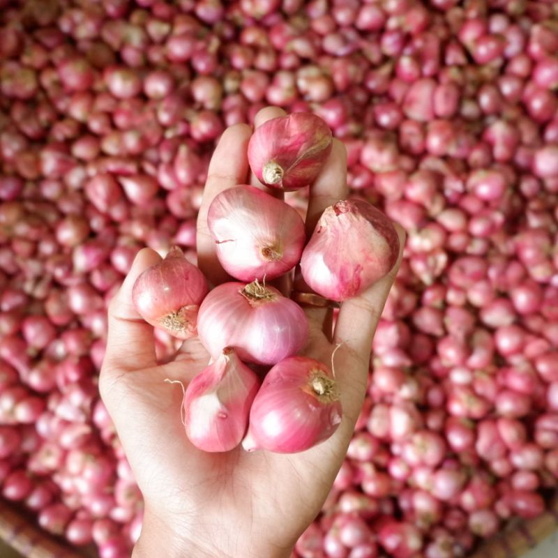 

Bawang Merah 1kg