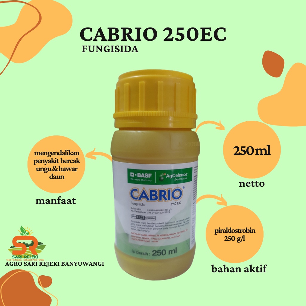 CABRIO 250EC 250ML FUNGISIDA