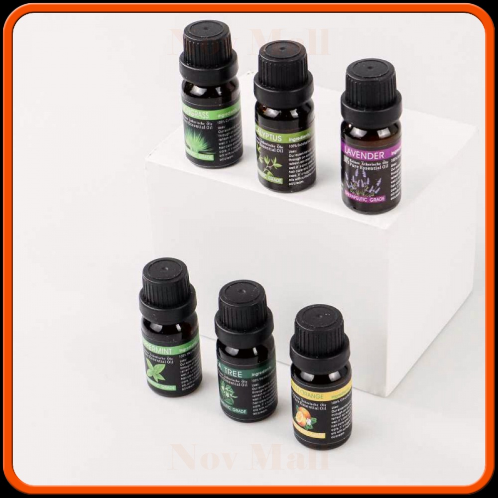 Essential Oils Minyak Aromatherapy Diffusers 10ml 6 PCS AM307