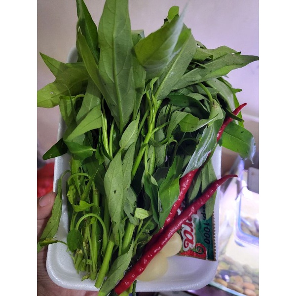 

Paket Tumis Kangkung