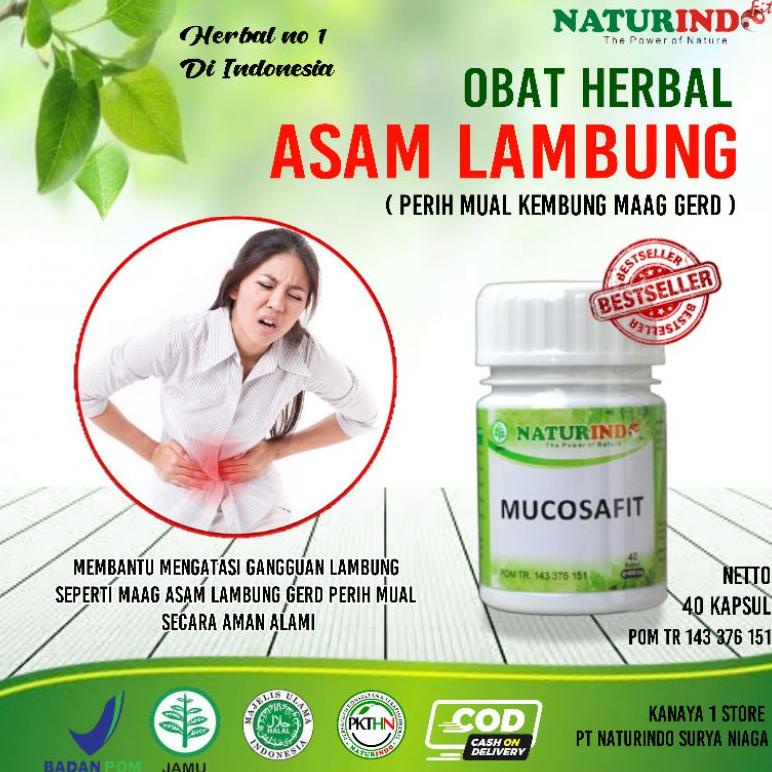 Obat Asam Lambung Maag Obat Herbal Asam Lambung Obat Lambung Paling Ampuh Obat Magh Asam Lambung Yan