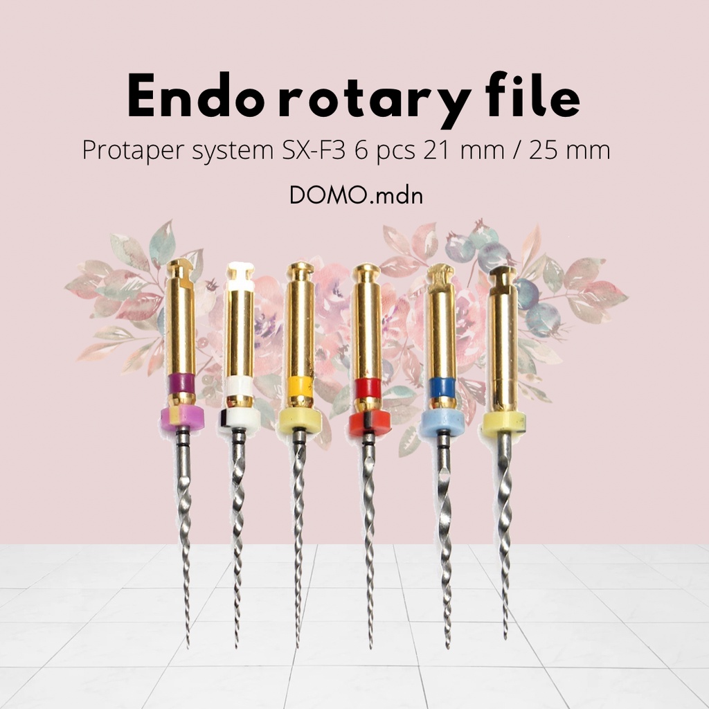 DENTSPLY PROTAPER SYSTEM SX-F3 ENDOMOTOR ROTARY FILES 21 mm 25 mm kfile niti file saluran akar gigi 