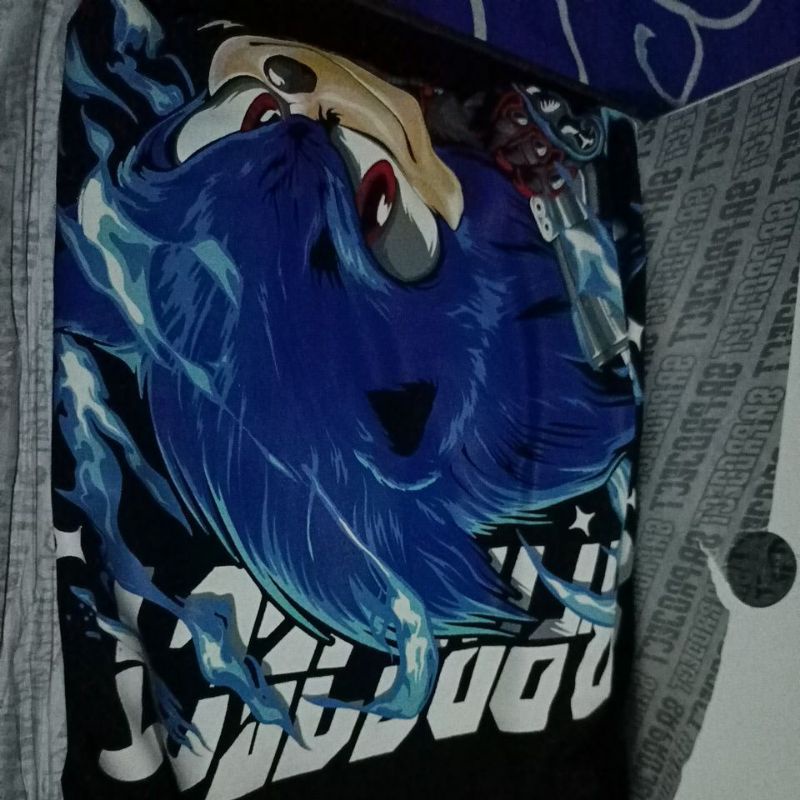 HODDIE SONIC SR PROJECT