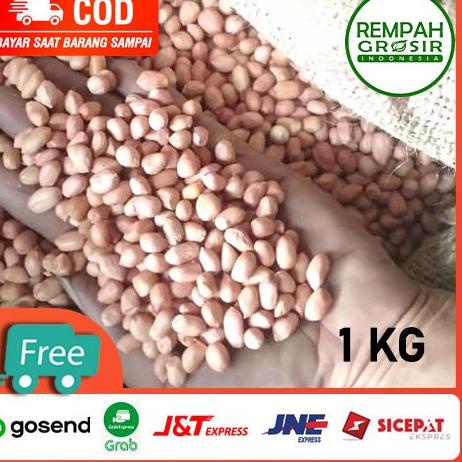 

idQq7Q1--Kacang Tanah India Super Ukuran 80/90 1KG | 1 kg Kilo Grosir Grosiran