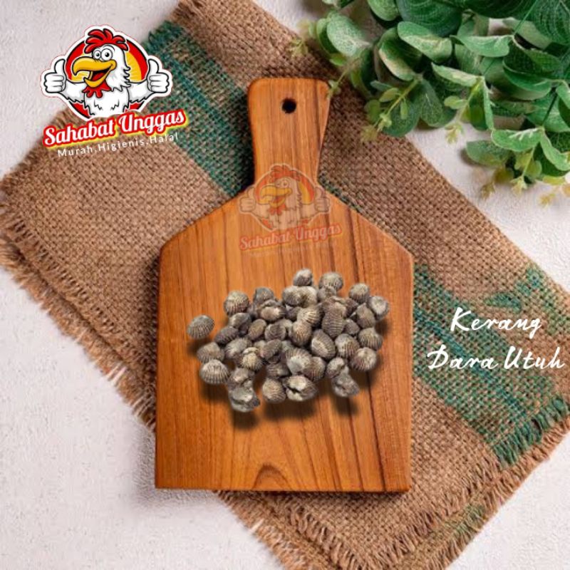 

Kerang Dara Utuh 500gr