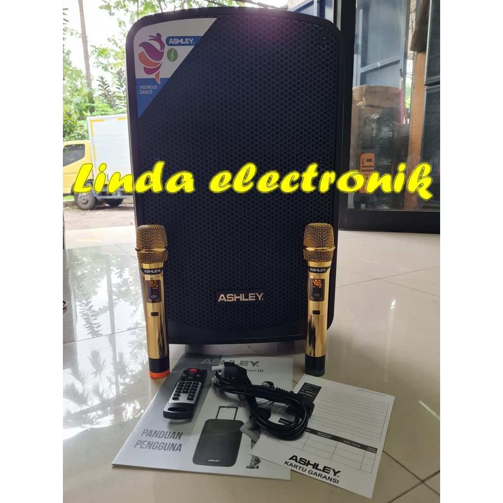 speaker ashley ir500 500 watt multi effecks karaoke ASHLEY IR500 12''