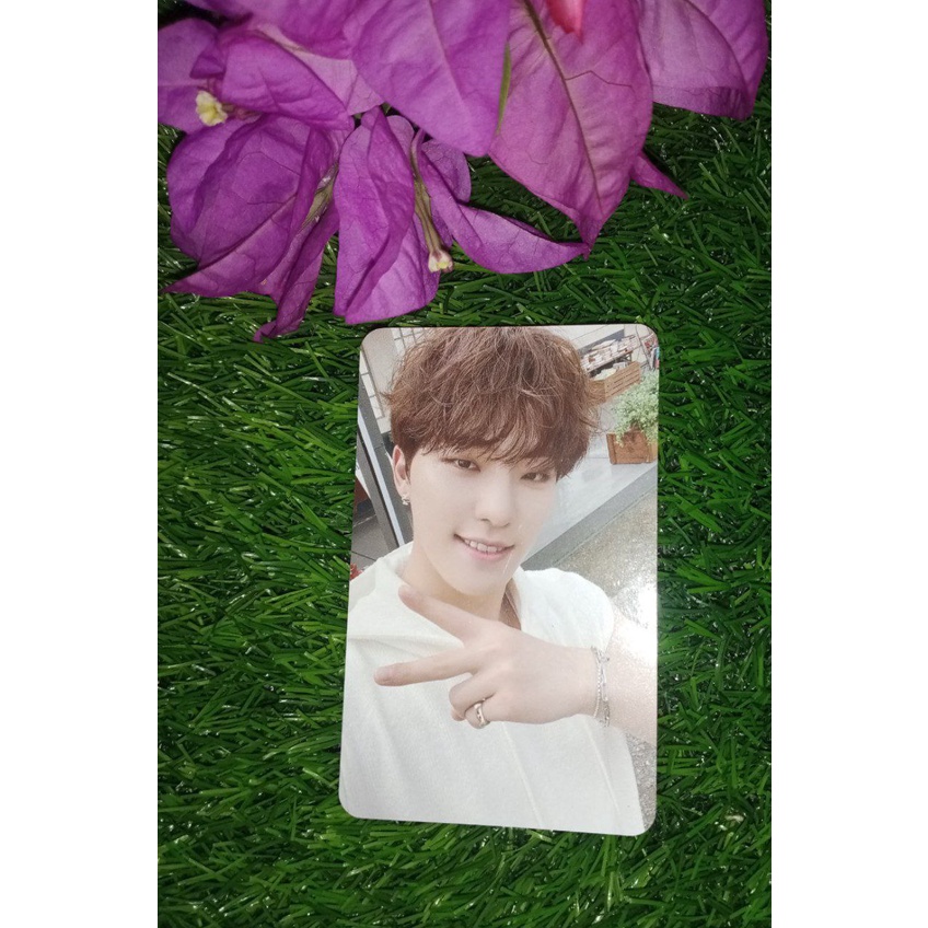 PHOTOCARD DINO BENEFIT FANSIGN WV SECTOR 17