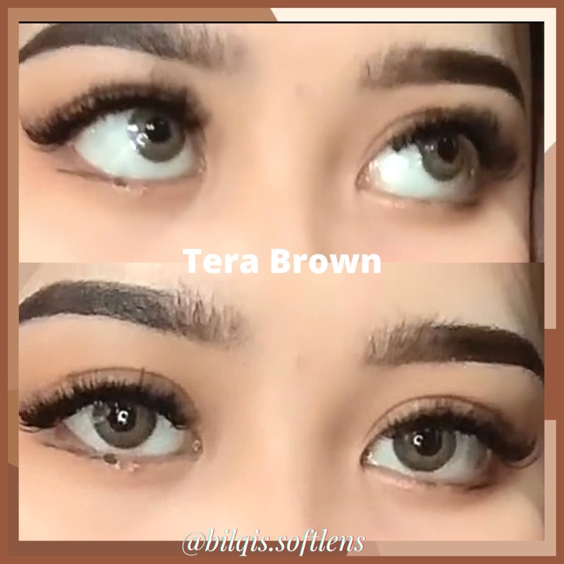 Twilight Tera Brown Lunar Grey softlens Normal Minus- Dia 14.2mm Tanpa ring