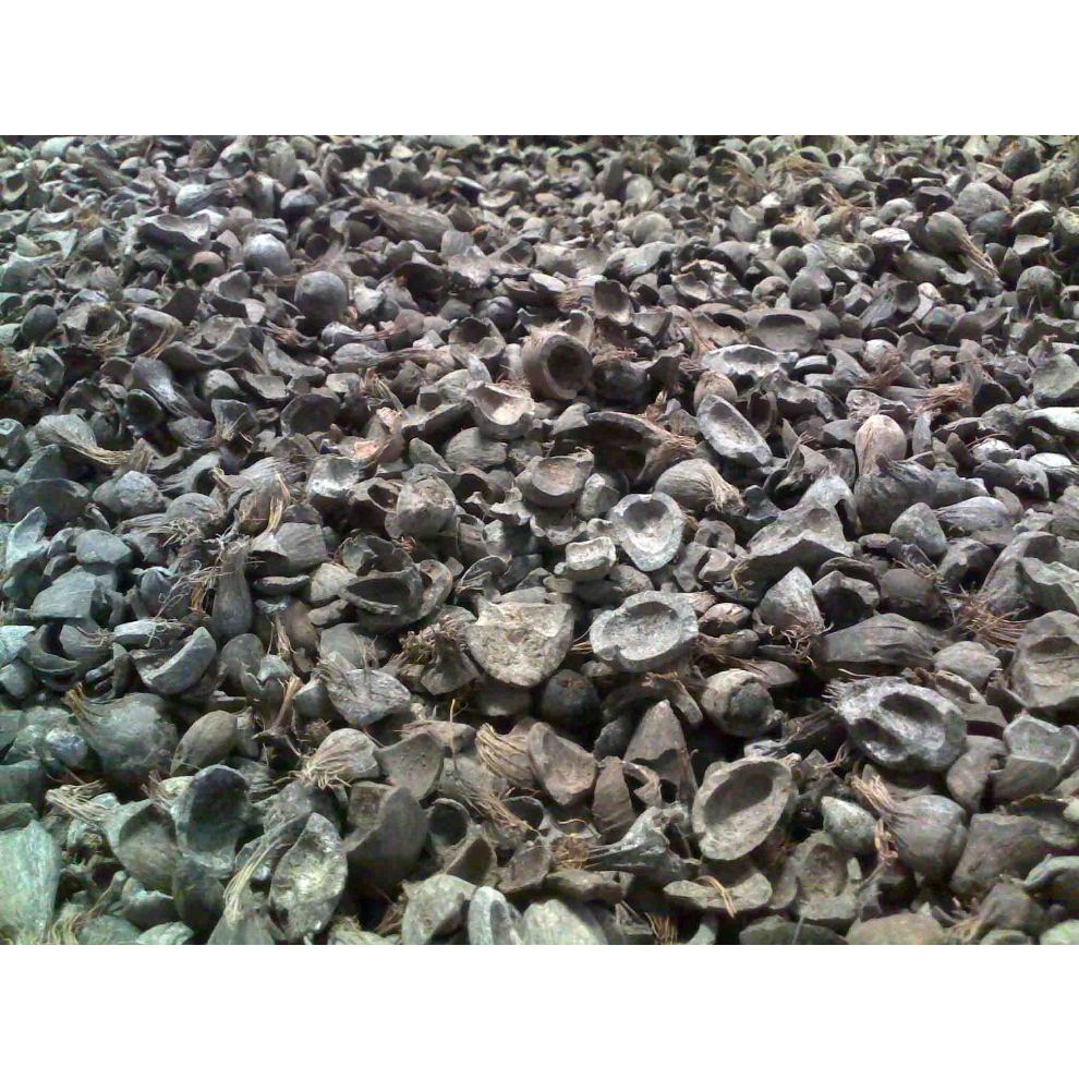 Cangkang Sawit Harga Termurah Langsung Pabrikan