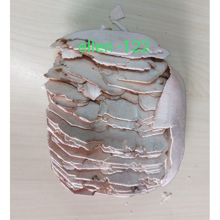 

(50gram) Tu Fu Ling /Fulin / Fuk Ling - [ 土茯苓 ] - Rhizoma Smilacis Galbrae