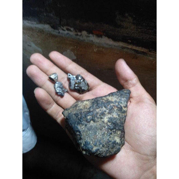 meteorite pallasite dan sikhote alin