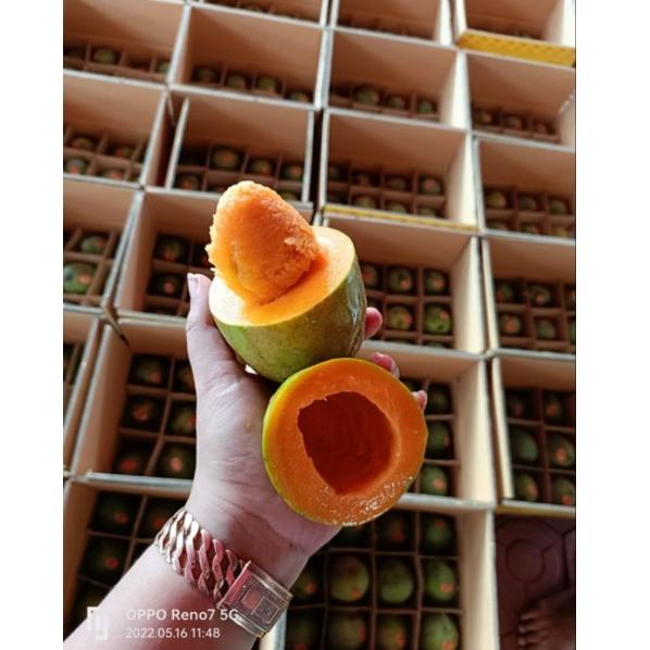 

M9M mangga alpukat➟™ (Big Sale)Super promo ➟