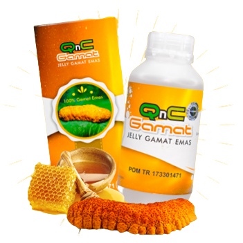 Obat Luka Diabetes, Penambah Daging / Pengering Luka diabetes Basah Di Kaki, BAU | QnC Jelly Gamat