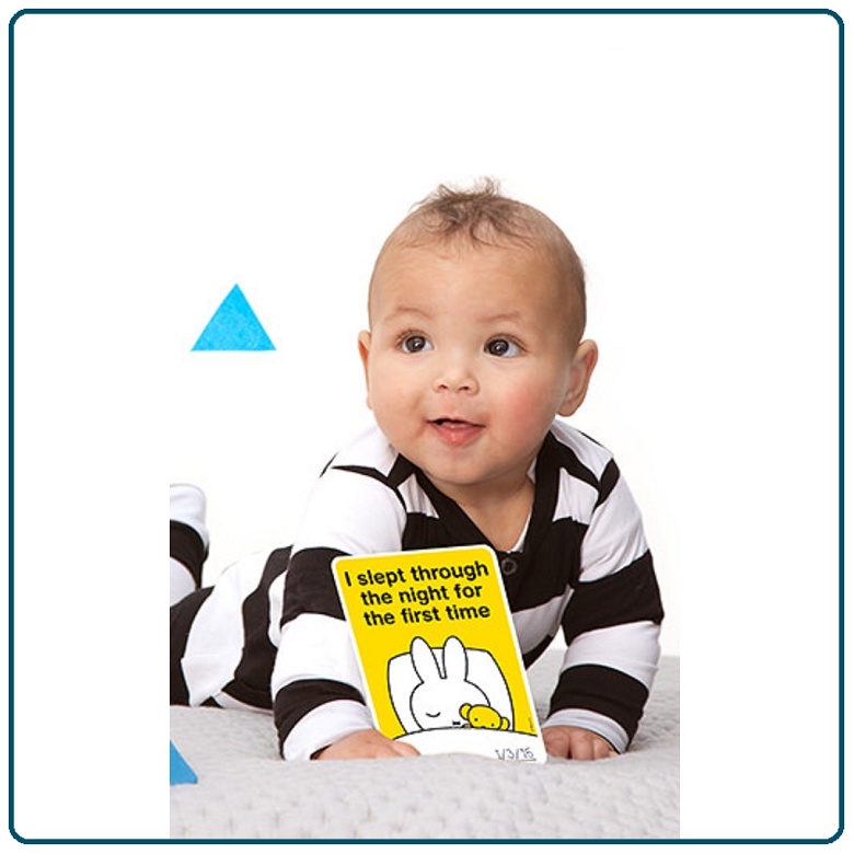 Milestone Miffy Baby Cards